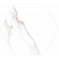 Плитка CERLAT Dortmund Hex 22,5х25,9