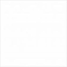 Плитка CERLAT Monocolores White 22 22,5х22,5