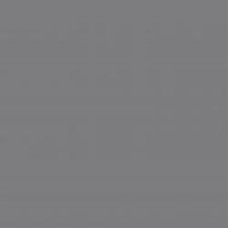 Плитка CERLAT Monocolores Grey 22 22,5х22,5