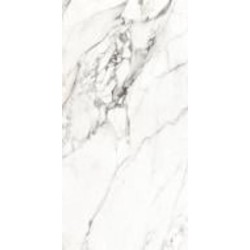Плитка Allore Group Lago Grey F P R Satin 60x120 см