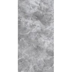 Плитка Allore Group Moon Silver F P R Full Lappato 60х120 см