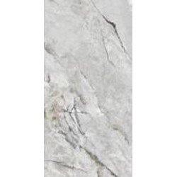 Плитка Allore Group Alpina Silver F P R Full Lappato 60x120 см