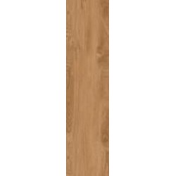 Плитка Allore Group Timber Gold F PR R Mat 30x120 см