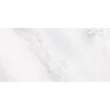 Плитка FANAL HYDRA WHITE LAP 60x120