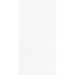 Плитка Атем Mono W 30x60 см