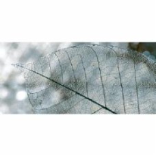 Декор InterCerama Magia grey Д 61 071 23x50 см