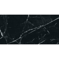 Плитка Allore Group Marquina Black W P NR Mat 31x61 см