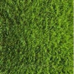 Искусственная трава Betap GREENWICHPARQ 5 м