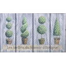 Коврик Multy Home Topiary 45х75 см