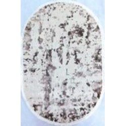 Ковер Art Carpet PARIS 60 O 300x400 см