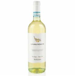 Вино Umani Ronchi белое сухое Montipagano Trebbiano d'Abruzzo DOC 2023 0,75 л