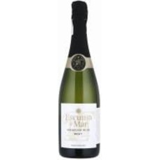 Вино игристое Josep Masachs S.L. Escuma de Mar Brut 0,75 л