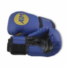 Перчатки для кикбоксинга AiM 12oz 16-112-1 синий с черным