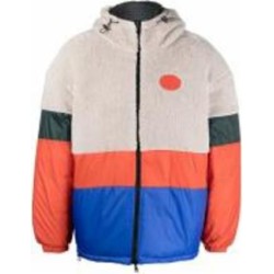 Куртка мужская зимняя EA7 6LPB09-PN5ZZ-2120 р.L разноцветная