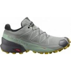 Кроссовки женские Salomon SPEEDCROSS 5 GTX W L41612800 р.36 серые