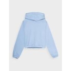 Джемпер 4F SWEATSHIRT F0847 4FSS23TSWSF0847-34S р.XS голубой