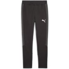 Брюки Puma EVOSTRIPE PANTS DK 67593201 р. S черный