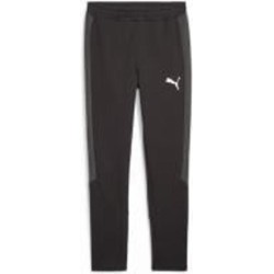 Брюки Puma EVOSTRIPE PANTS DK 67593201 р. S черный