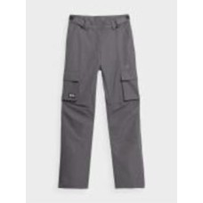 Брюки 4F TROUSERS FNK F390 4FAW23TFTRF390-24S р. XS серый