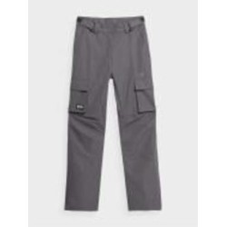 Брюки 4F TROUSERS FNK F390 4FAW23TFTRF390-24S р. XS серый