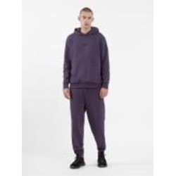 Брюки 4F TROUSERS CAS M466 4FAW23TTROM466-60S р. L фиолетовый