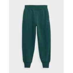 Брюки 4F TROUSERS CAS F471 4FAW23TTROF471-40S р. XS зеленый