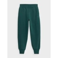 Брюки 4F TROUSERS CAS F471 4FAW23TTROF471-40S р. S зеленый