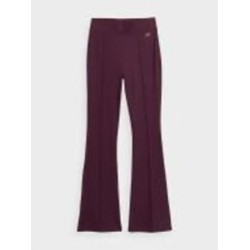 Брюки 4F TIGHTS CAS F106 4FAW23TTIGF106-50S р. XS коричневый
