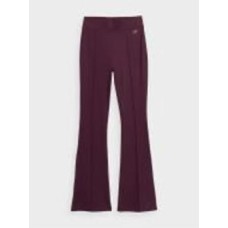 Брюки 4F TIGHTS CAS F106 4FAW23TTIGF106-50S р. XL коричневый