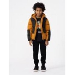 Куртка для мальчиков 4F DOWN JACKET M276 4FJAW23TDJAM276-82S коричневая