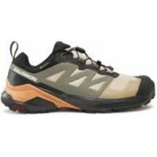 Кроссовки мужские демисезонные Salomon X-ADVENTURE GTX L47321300 р.46 коричневые