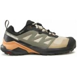 Кроссовки мужские демисезонные Salomon X-ADVENTURE GTX L47321300 р.46 коричневые