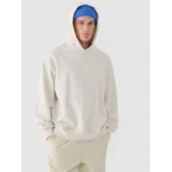 Джемпер 4F SWEATSHIRT M1310 4FWAW24TSWSM1310-11S р.L бежевый