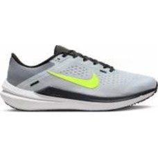 Кроссовки мужские демисезонные Nike WINFLO 10 DV4022-007 р.43