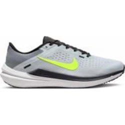 Кроссовки мужские демисезонные Nike WINFLO 10 DV4022-007 р.43