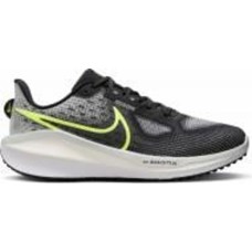 Кроссовки мужские демисезонные Nike VOMERO 17 FB1309-001 р.46