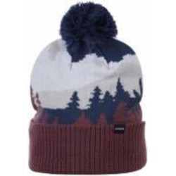 Шапка Icepeak 58825_850_I_775 р.one size разноцветный