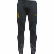 Брюки Joma PANTALON LARGO PASEO FED. FUTBOL UCRANIA AT11204A3101 р. 2XL синий