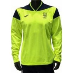 Джемпер Joma SUDADERA ENTRENA. OPC. D FED. FUTBOL UCRANIA AT11302A1401 р.M желтый