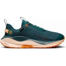 Кроссовки Nike INFINITY RUN 4 REACTX GORE-TEX FB2204-300 р.44,5