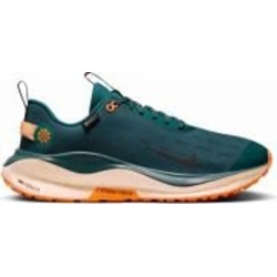 Кроссовки Nike INFINITY RUN 4 REACTX GORE-TEX FB2204-300 р.44,5
