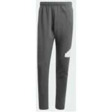 Брюки Adidas M FI BOS PT IR9177 р. 2XL серый