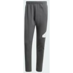 Брюки Adidas M FI BOS PT IR9177 р. L серый