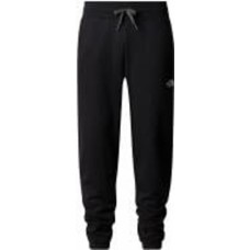 Брюки THE NORTH FACE M ZUMU JOGGER NF0A87DEJK3 р. L черный