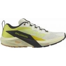 Кроссовки мужские демисезонные Salomon SENSE RIDE 5 L47458400 р.43 1/3 бело-салатовые