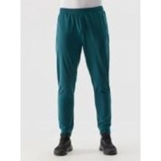 Брюки 4F SPODNIE FNK M452 4FWSS24TFTRM452-46S р. L зеленый