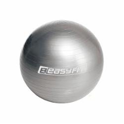 Мяч для фитнеса EasyFit 85 см серый (EF-85-GY) d85 EF-3009
