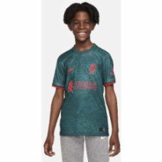 Футболка Nike Liverpool FC 2022/23 Stadium Third DJ7860-377 р.S green