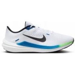 Кроссовки мужские Nike WINFLO 10 DV4022-103 р.41 белые