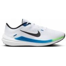 Кроссовки мужские Nike WINFLO 10 DV4022-103 р.44 белые